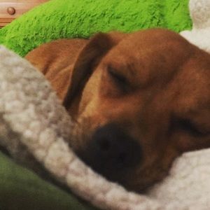 Meet your Posher, Jack